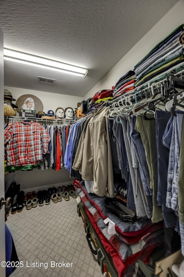 895 Woodlawn Rd Unit 3, Bardstown, KY 40004 - spacious closet featuring carpet flooring