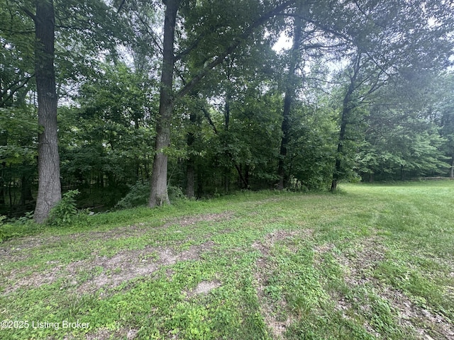 482 Mccubbins Rd, Lebanon Junction, KY 40150 - photo 3