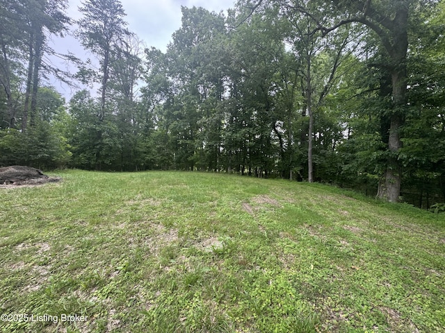 482 Mccubbins Rd, Lebanon Junction, KY 40150 - photo 4