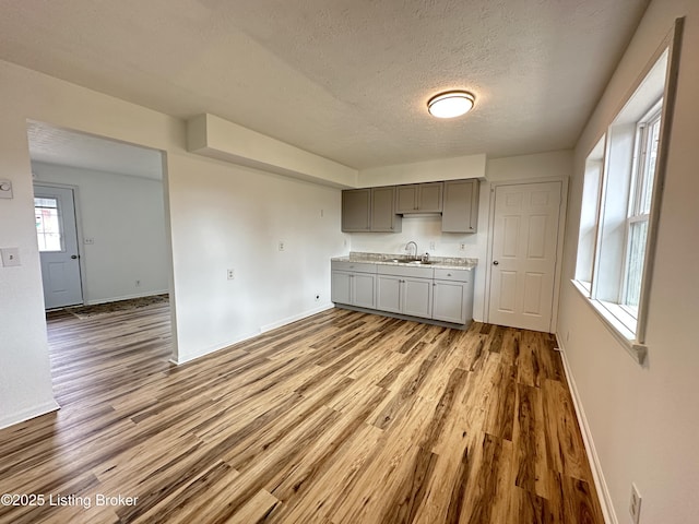 62 Jefferson Ave, Bardstown, KY 40004 - kitchen with gray cabinetry, a sink, light wood-type flooring, a textured ceiling, and baseboards