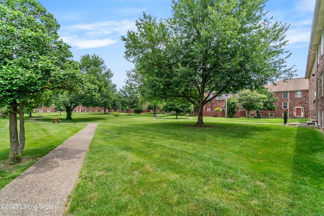 1007 Lake Pl Unit H11, Louisville, KY 40222 - view of green lawn