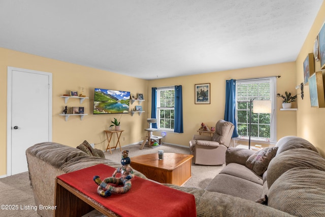 1007 Lake Pl Unit H11, Louisville, KY 40222 - carpeted living room with healthy amount of natural light