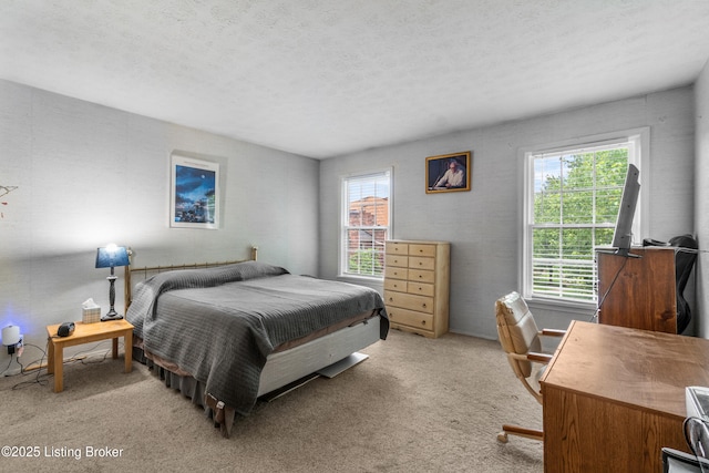 1007 Lake Pl Unit H11, Louisville, KY 40222 - bedroom with carpet and a textured ceiling
