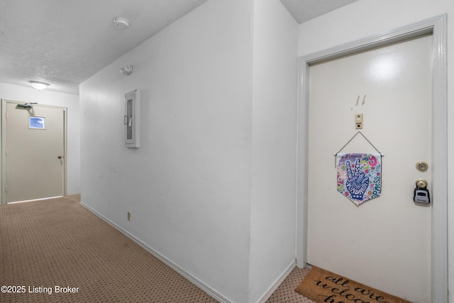 1007 Lake Pl Unit H11, Louisville, KY 40222 - property entrance with electric panel