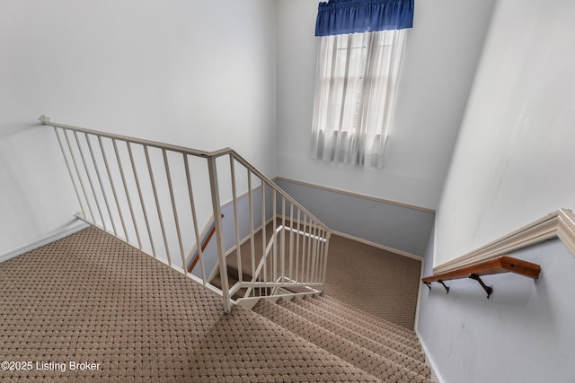1007 Lake Pl Unit H11, Louisville, KY 40222 - stairway featuring carpet floors