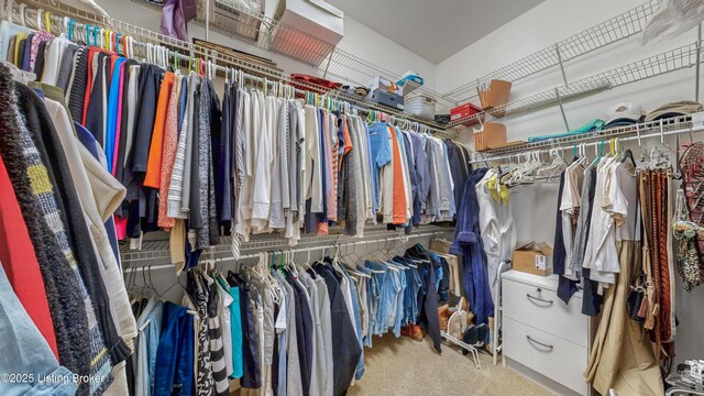 8705 Summit Ridge Dr, Louisville, KY 40241 - walk in closet with carpet floors