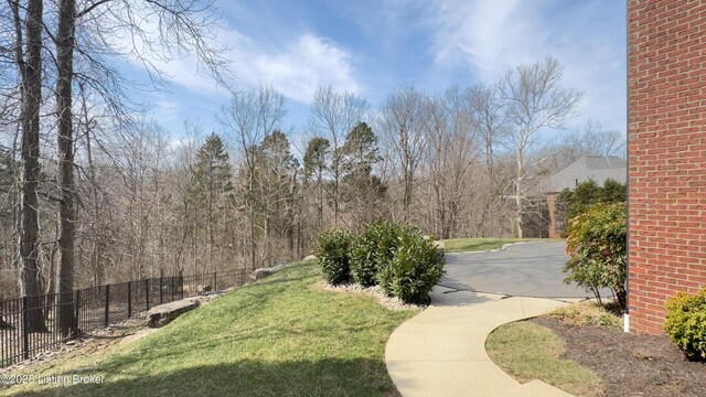 8705 Summit Ridge Dr, Louisville, KY 40241 - view of yard