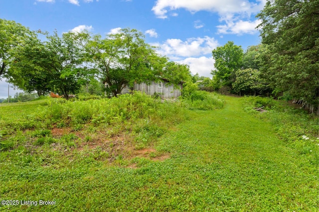 1293 Melrose Rd, Sonora, KY 42776 - photo 5