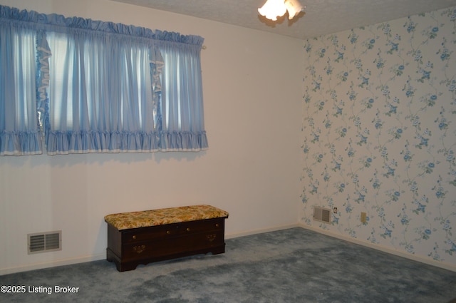 8413 Old Boundary Rd, Louisville, KY 40291 - carpeted empty room with a textured ceiling