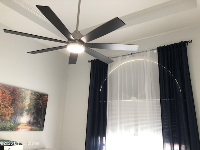149 Wood Gate Dr, Mt Washington, KY 40047 - detailed view of a ceiling fan