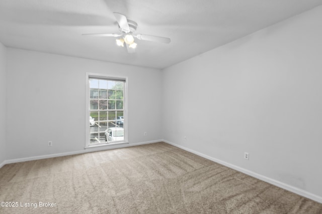 818 Highwood Dr, Louisville, KY 40206 - photo 12