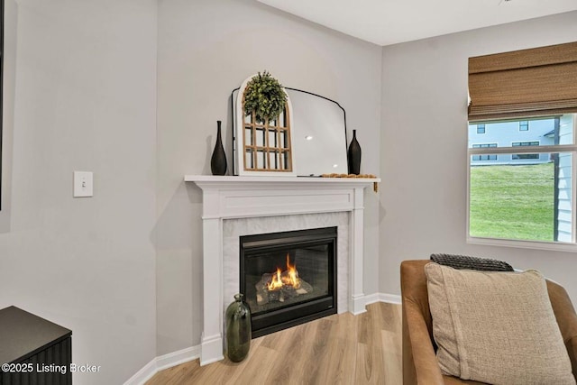 19136 Catalpa Fields Pl, Louisville, KY 40023 - detailed view of wood finished floors and a glass covered fireplace