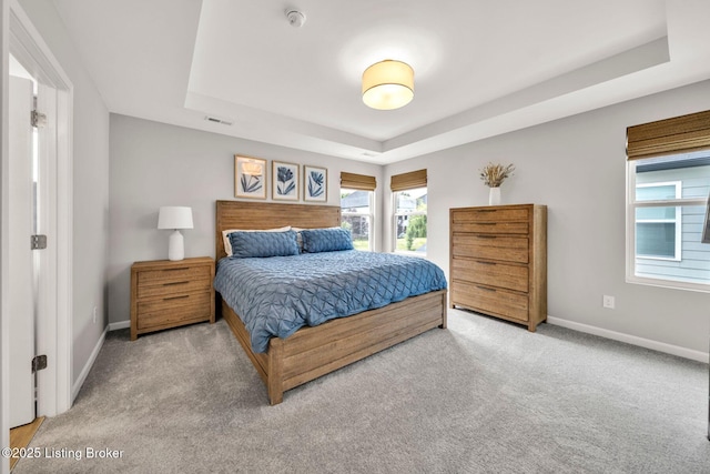 19136 Catalpa Fields Pl, Louisville, KY 40023 - bedroom featuring a tray ceiling and carpet floors