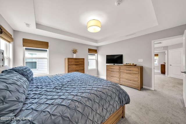 19136 Catalpa Fields Pl, Louisville, KY 40023 - bedroom with a raised ceiling and light colored carpet