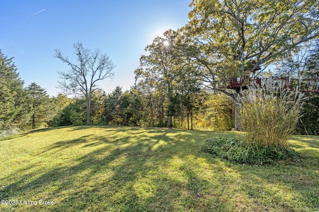 1276 Delta Rd, Taylorsville, KY 40071 - photo 28