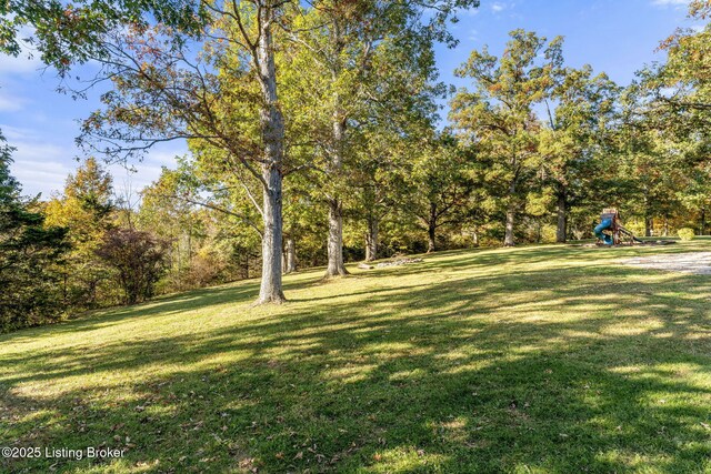 1276 Delta Rd, Taylorsville, KY 40071 - photo 43