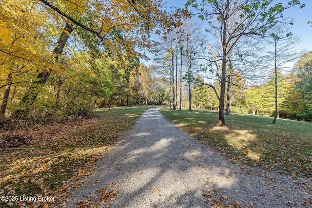 1276 Delta Rd, Taylorsville, KY 40071 - photo 45