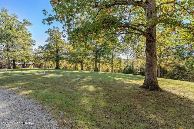 1276 Delta Rd, Taylorsville, KY 40071 - photo 48