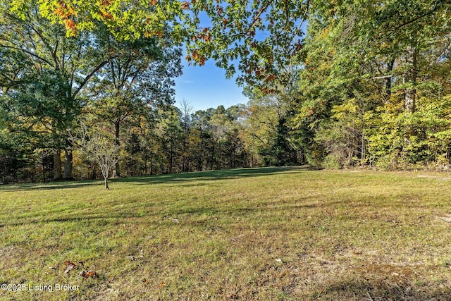 1276 Delta Rd, Taylorsville, KY 40071 - photo 89