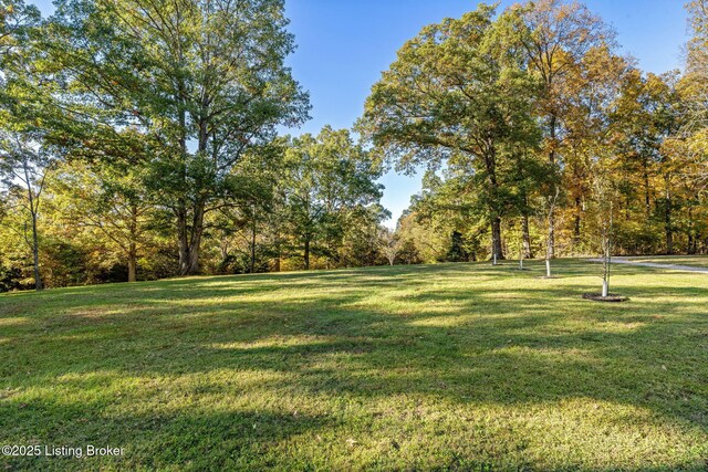 1276 Delta Rd, Taylorsville, KY 40071 - photo 91