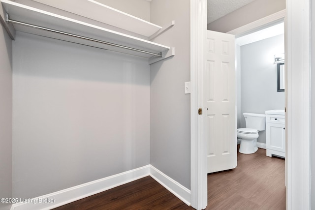 3627 E Locust Cir, Prospect, KY 40059 - spacious closet with dark wood-style floors