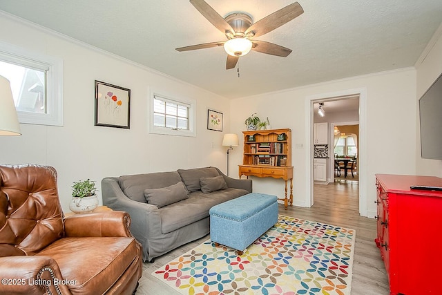 114 S Crestmoor Ave, Louisville, KY 40206 - living area featuring light wood-type flooring, ceiling fan, and ornamental molding