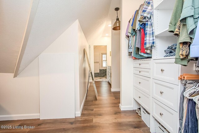 114 S Crestmoor Ave, Louisville, KY 40206 - walk in closet with wood finished floors and lofted ceiling