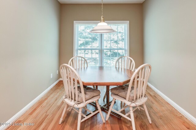 902 Forest Bridge Rd, Louisville, KY 40223 - photo 29