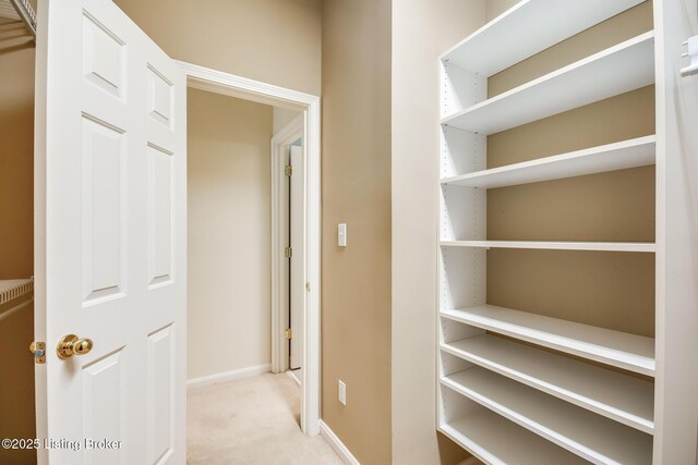 902 Forest Bridge Rd, Louisville, KY 40223 - photo 37