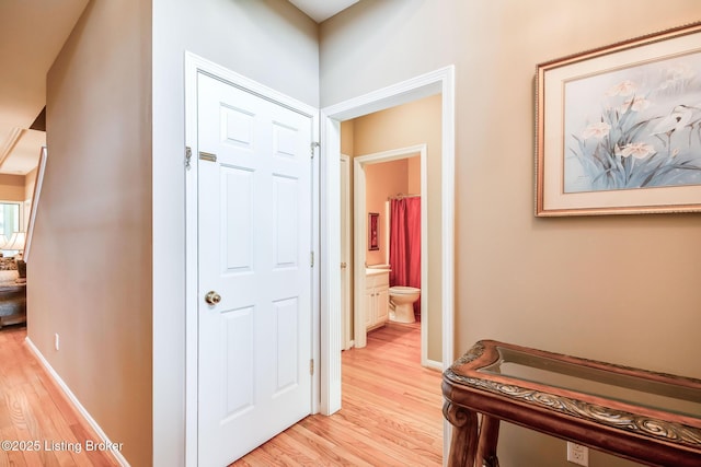 902 Forest Bridge Rd, Louisville, KY 40223 - photo 44