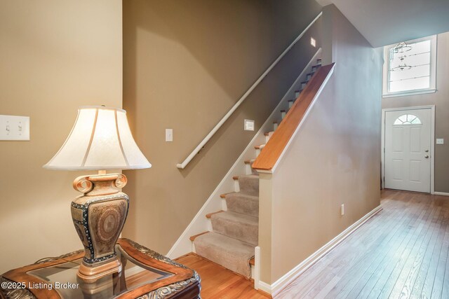 902 Forest Bridge Rd, Louisville, KY 40223 - photo 49