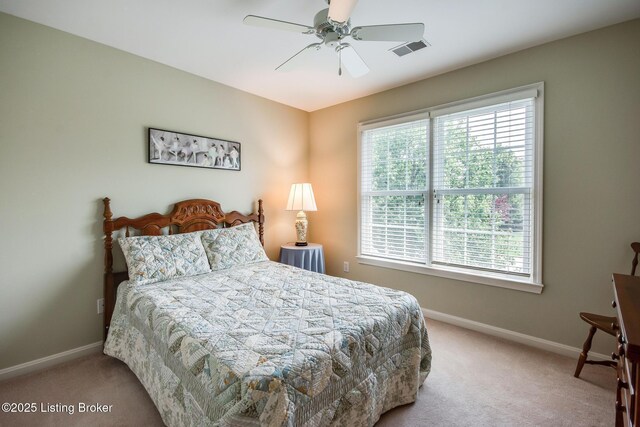902 Forest Bridge Rd, Louisville, KY 40223 - photo 52
