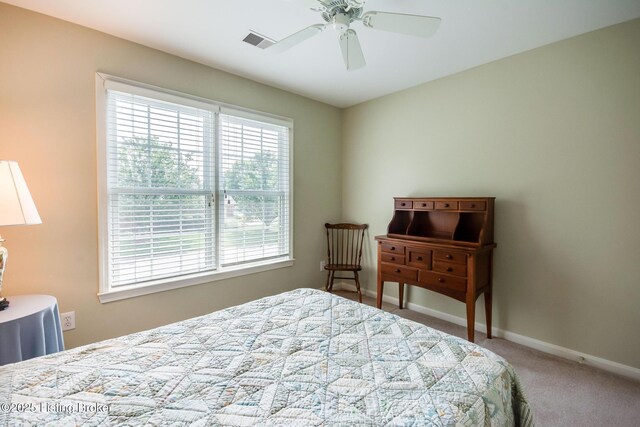 902 Forest Bridge Rd, Louisville, KY 40223 - photo 53