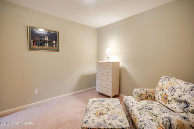 902 Forest Bridge Rd, Louisville, KY 40223 - photo 59