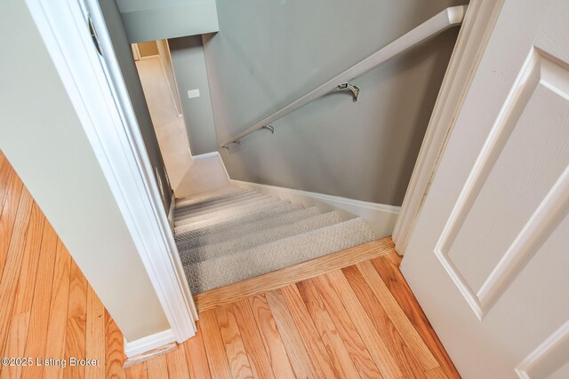 902 Forest Bridge Rd, Louisville, KY 40223 - photo 60