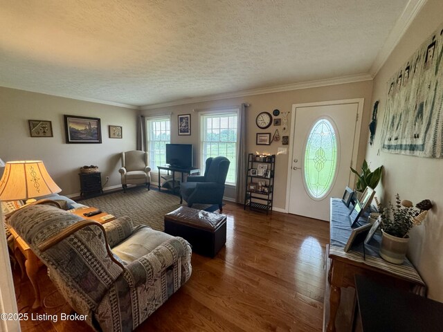 301 Minors Ln, Coxs Creek, KY 40013 - photo 5