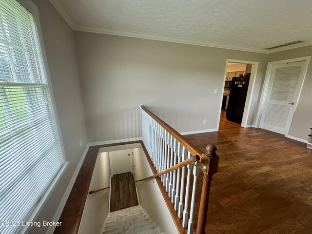 301 Minors Ln, Coxs Creek, KY 40013 - photo 21