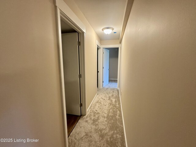 301 Minors Ln, Coxs Creek, KY 40013 - photo 27