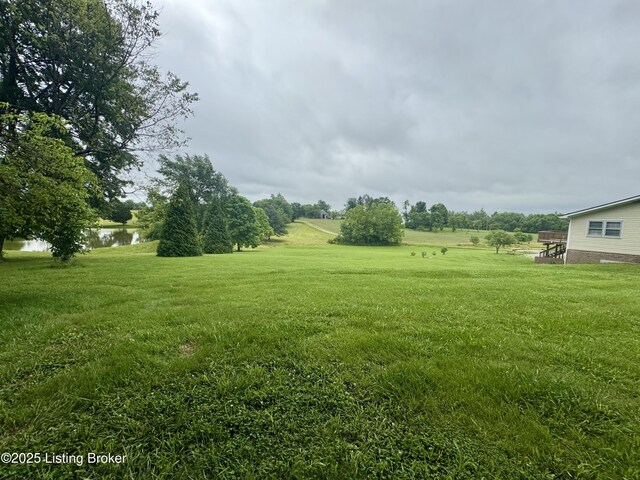 301 Minors Ln, Coxs Creek, KY 40013 - photo 41