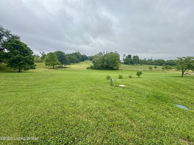301 Minors Ln, Coxs Creek, KY 40013 - photo 42