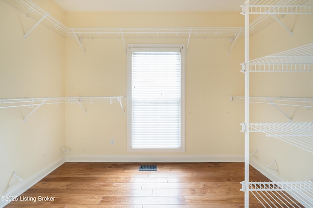 6205 Elizabeth Ct, Prospect, KY 40059 - walk in closet featuring light wood-type flooring
