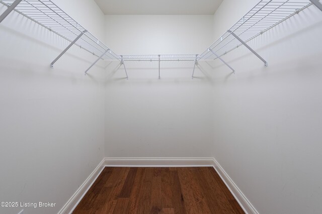 6205 Elizabeth Ct, Prospect, KY 40059 - spacious closet with wood finished floors