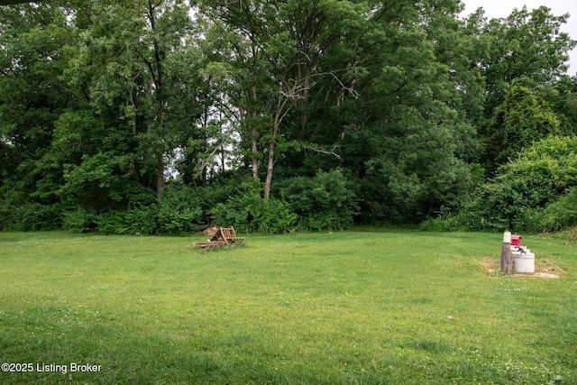 9115 Independence School Rd, Louisville, KY 40228 - view of green lawn