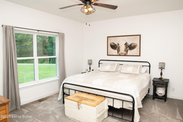 9115 Independence School Rd, Louisville, KY 40228 - bedroom with carpet floors, multiple windows, and ceiling fan