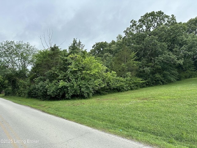 9115 Independence School Rd, Louisville, KY 40228 - view of asphalt road featuring a wooded view