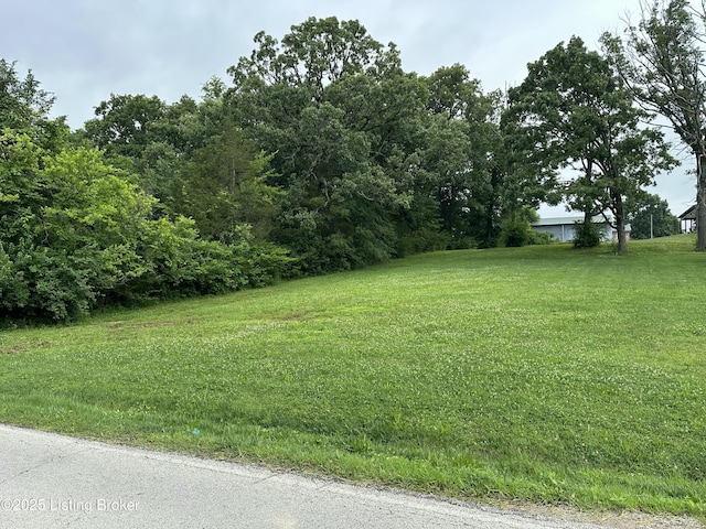 9115 Independence School Rd, Louisville, KY 40228 - view of yard