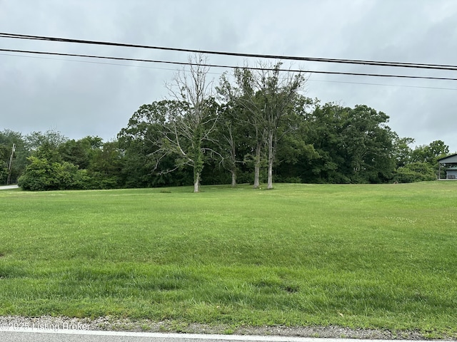 9115 Independence School Rd, Louisville, KY 40228 - view of green lawn