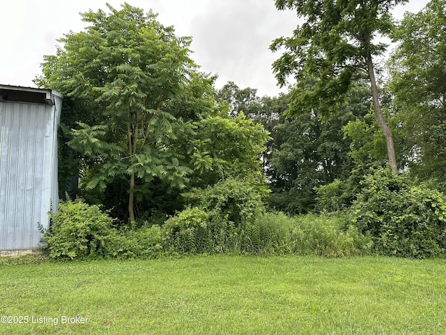 9115 Independence School Rd, Louisville, KY 40228 - view of green lawn