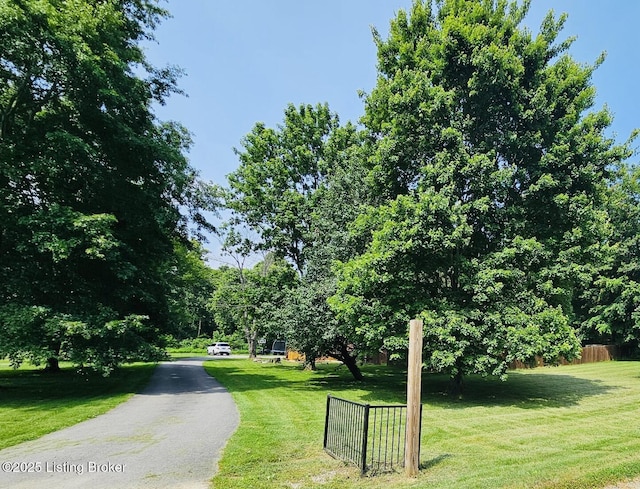 94 Buckhorn Ln, Leitchfield, KY 42754 - view of asphalt driveway