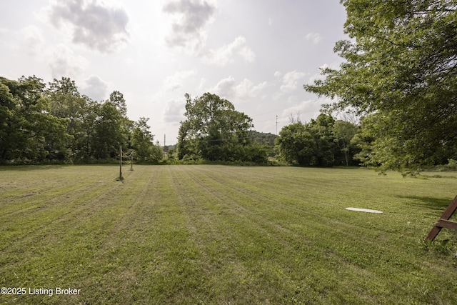 94 Buckhorn Ln, Leitchfield, KY 42754 - view of grassy yard